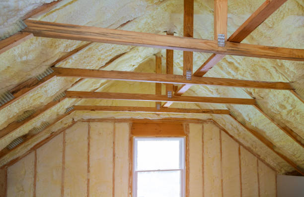 Best Geographic-Specific Insulation Services in Mendota Heights, MN