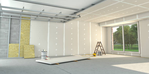 Best Cellulose Insulation in Mendota Heights, MN