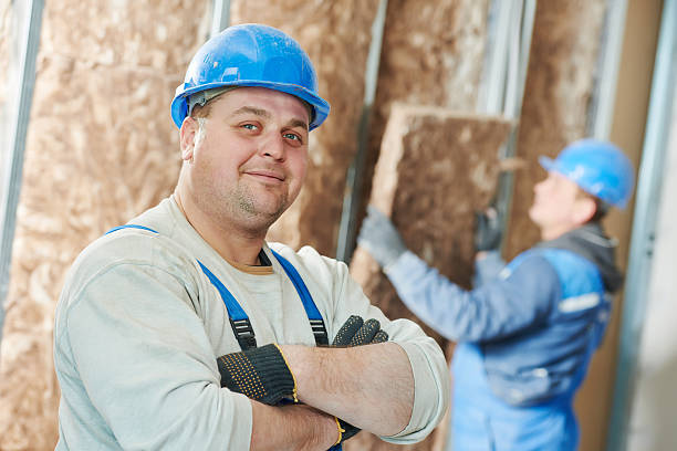 Best DIY Insulation Kits and Guidance in Mendota Heights, MN